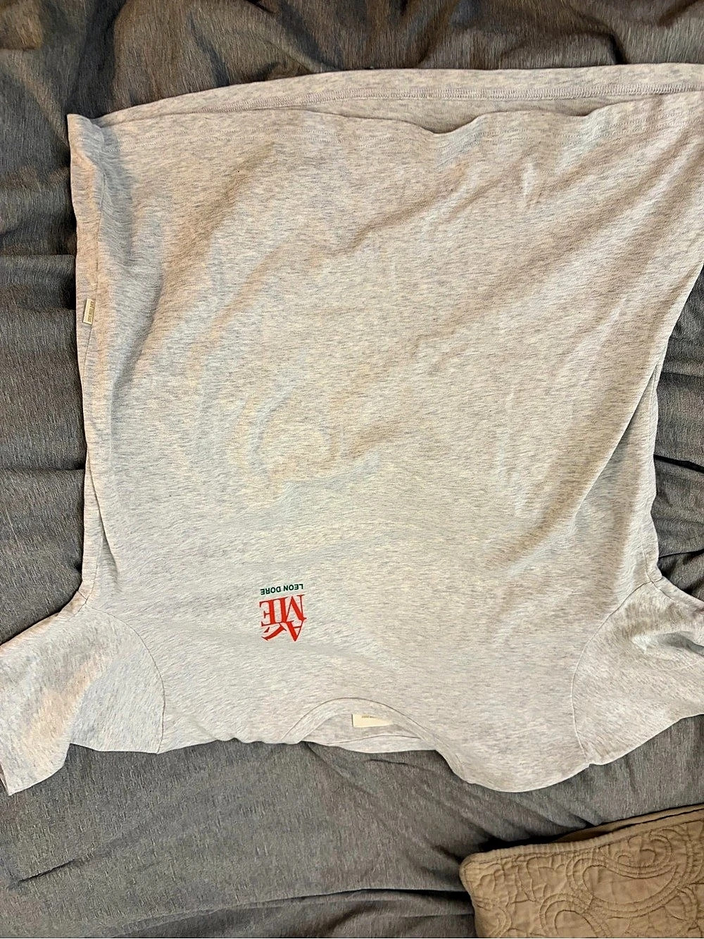 AIME LEON DORE Block Logo Tee Gray